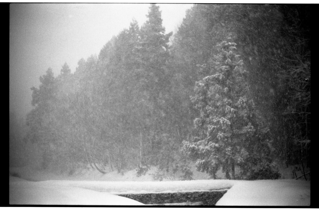 Oratnir(オラトニール）・別府倫太郎による雪国の雪の風景を撮ったモノクロフィルム写真作品。豪雪で、猛吹雪の中での風景を撮ったところ。撮影場所:新潟県十日町市 使用カメラ：[Nikon New FM2]、フィルム：[ ILFORD HP5 PLUS 400]